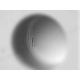 597221 Термопара