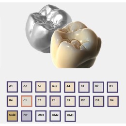 Exocad Trusmile - модуль для естественной визуализации