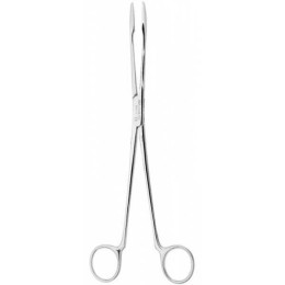 Корцанг прямой, 25 см.