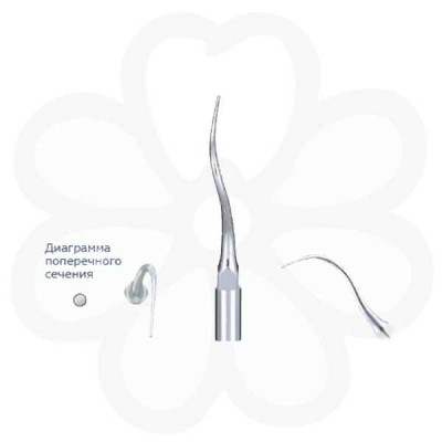 P21L-E - пародонтологическая насадка с левосторонним изгибом (для EMS) P21L-E - пародонтологическая насадка с левосторонним изгибом (для EMS)