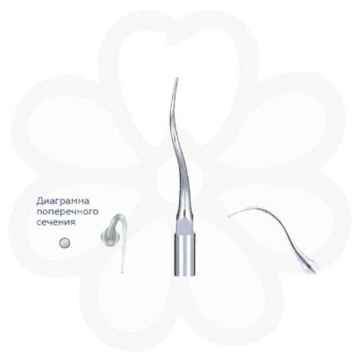 P21L - пародонтологическая насадка к скейлерам Varios с левосторонним изгибом (для NSK/Satelec) P21L - пародонтологическая насадка к скейлерам Varios с левосторонним изгибом (для NSK/Satelec)