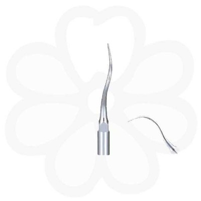 P21R - пародонтологическая насадка к скейлерам Varios, с правосторонним изгибом (1 шт.) P21R - пародонтологическая насадка к скейлерам Varios, с правосторонним изгибом (1 шт.)