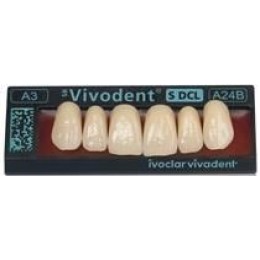 SR Vivodent S PE Shade Guide
