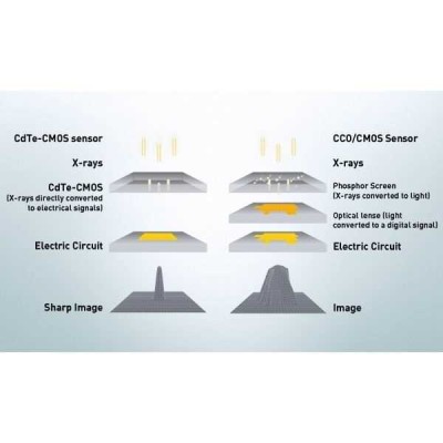 FONA Art Plus/Art Plus C - рентгенографическая цифровая система панорамной съемки FONA Art Plus/Art Plus C - рентгенографическая цифровая система панорамной съемки