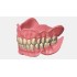 Exocad Full Denture Module - модуль для создания полносъемных протезов Exocad Full Denture Module - модуль для создания полносъемных протезов