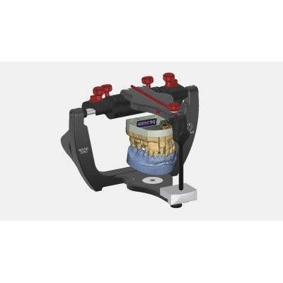 Exocad Virtual Articulator - виртуальный артикулятор Exocad Virtual Articulator - виртуальный артикулятор